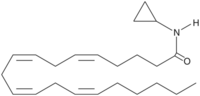 Arachidonoyl Cyclopropylamide