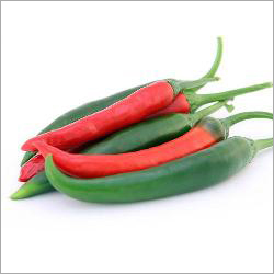 Fresh Chilli