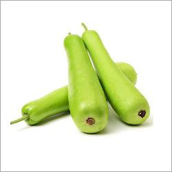 Bottle Gourd