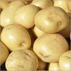 Fresh Potato