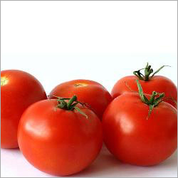 Fresh Tomato