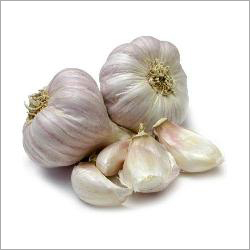 Fresh Garlic