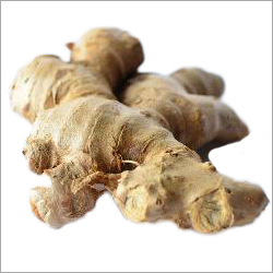 Fresh Ginger