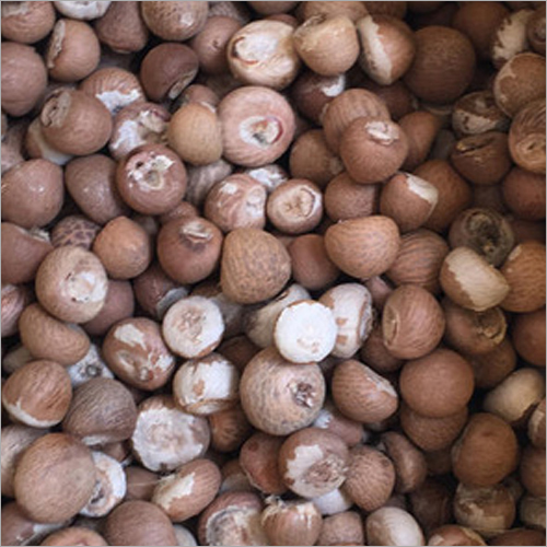 Betel Nuts - 6 Months Shelf Life Antibacterial and Antioxidant Rich Packed for Freshness and Health Benefits