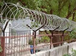 Concertina Wire