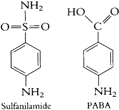 Para-Aminobenzoic Acid