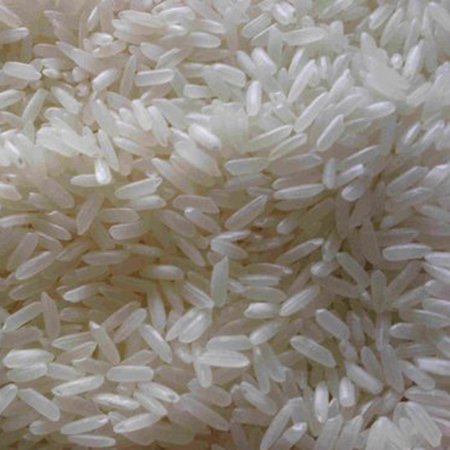 Common Raw Rice