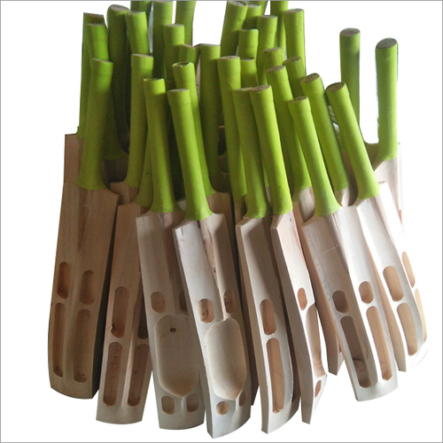 Kashmir Willow Scoop Bat
