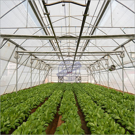 Hi-tech Greenhouse