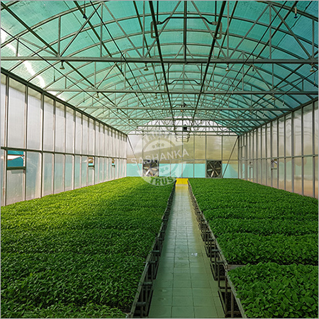 Hi-Tech Seedling Nursery