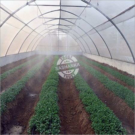 Insect Net Tunnel