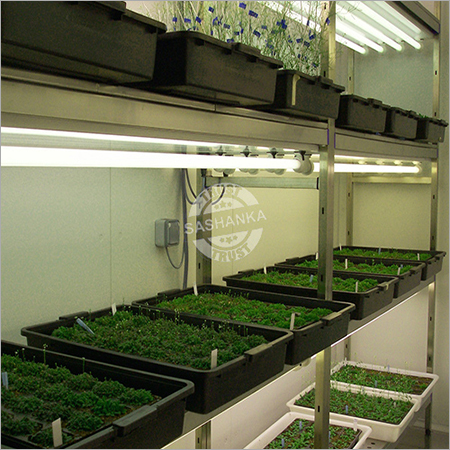 Arabidopsis Chamber