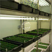 Arabidopsis Chamber
