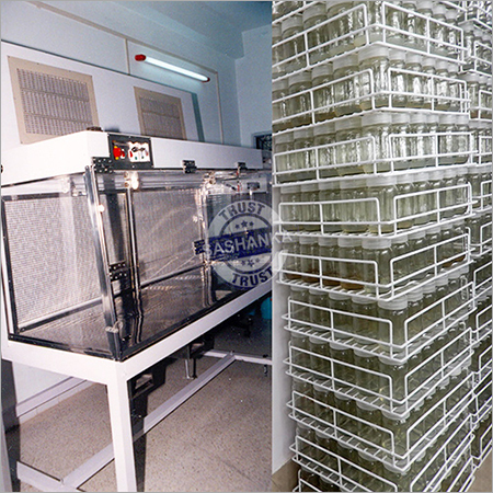 Lab Growth Room
