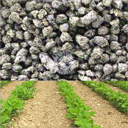 Phosphorus Rich Manure