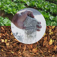 Compost Culture - 100% Organic Microbial & Fungal Culture (1kg/10kg/20kg) | Enhances Growth, Improves Drainage, Nutrient-rich, Sustainable Soil Amendment