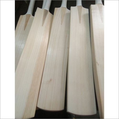 Willow Cricket Bat