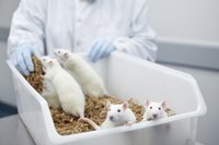Bio Medical Research Feed