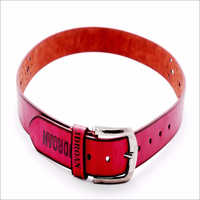 Ladies Fancy Belt - Quality Raw Material, Standard Size | Modern Design, Elegant Finish, Versatile For All Body Shapes