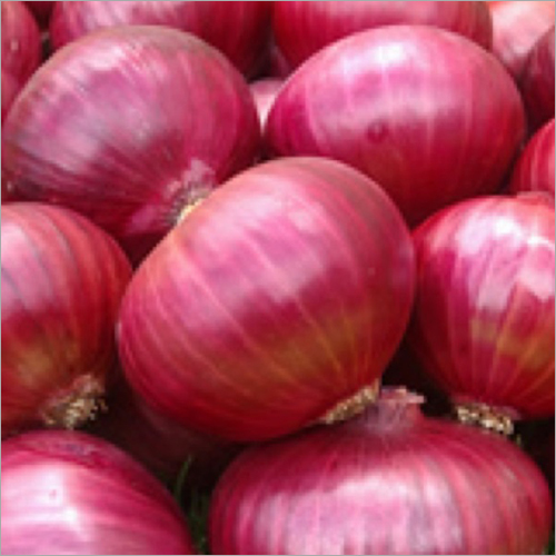 Fresh Onion - Red Color, Round Shape, Open Air Cultivation, Food Grade, 30 Days Shelf Life | Hygienically Processed, Preserved in Eco-Friendly Packaging