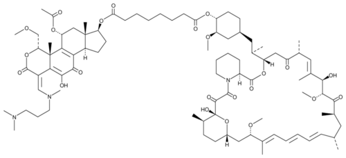 Wortmannin-Rapamycin Conjugate