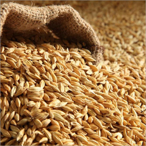 Diastatic & Non-Diastatic Malt Flours