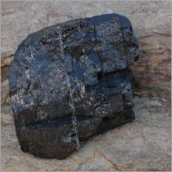 Coal Coal