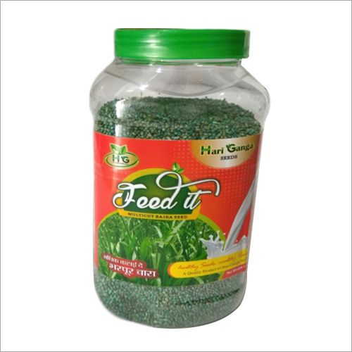 Multicut Fodder Bajra Seeds