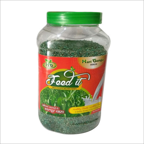 Multicut Fodder Bajra Seeds