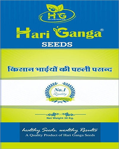 Hari Ganga Agriculture Grain Seeds