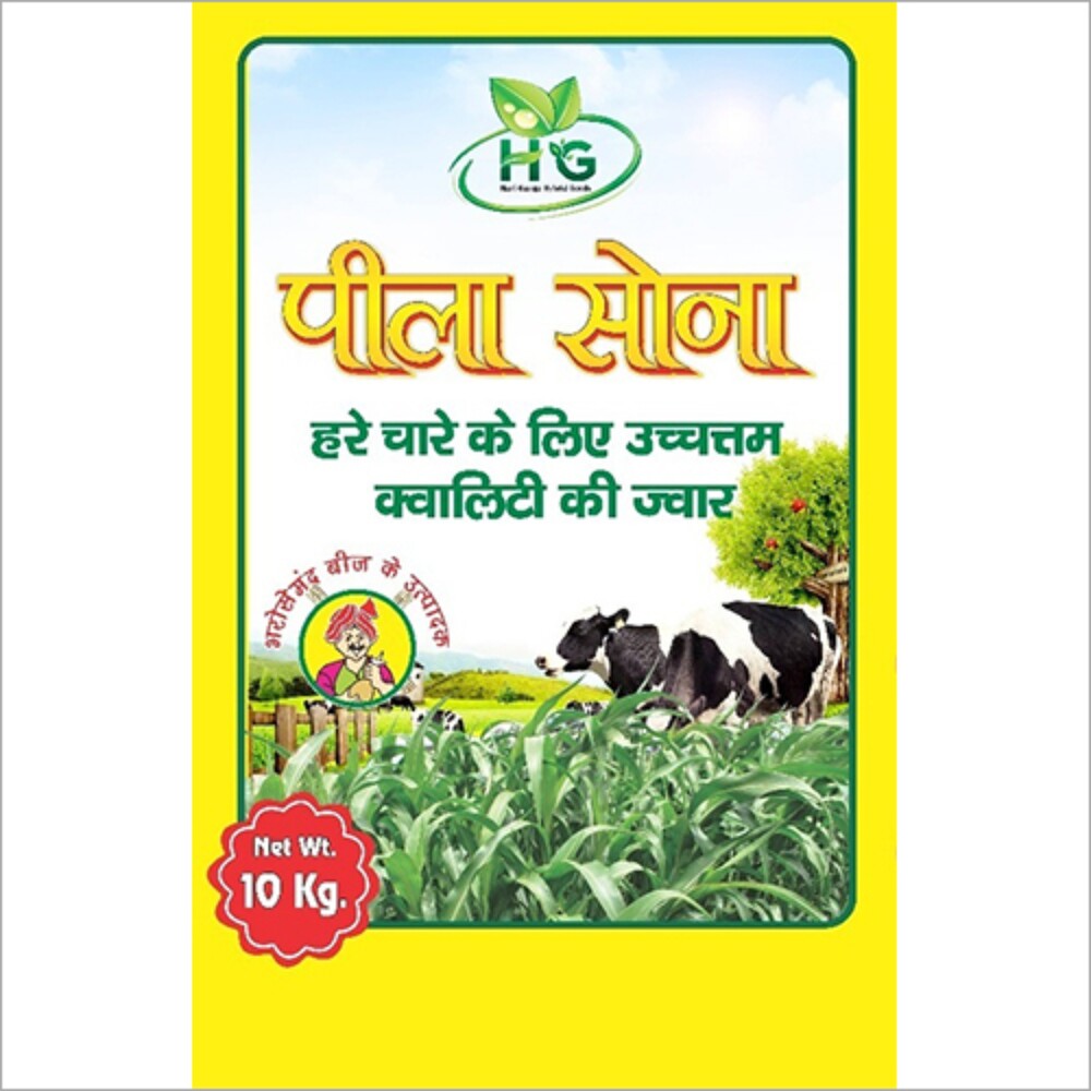 10 Kg Green Fodder Jowar Seeds - Cultivation Type: Organic