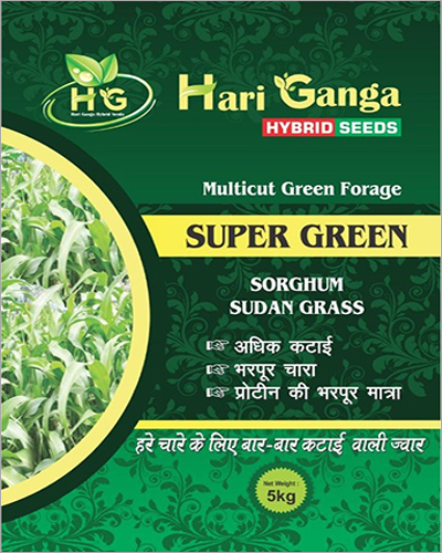 Organic Multicut Green Forage Sorghum Seeds