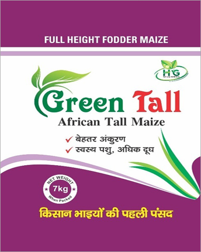 7 Kg Green Tall African Tall Maize Seeds