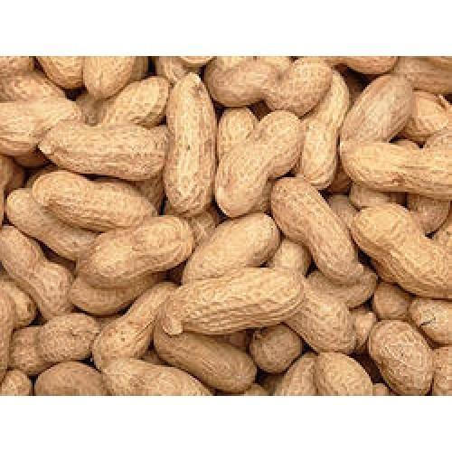 Red Groundnut