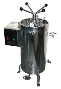 Anotomy Model