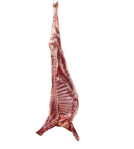 Goat Carcass