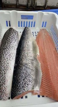 Salmon Fish, Atlantic Mackerel, Salmon Fillet,