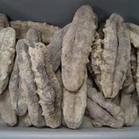 Piece Quality Dried Sea Cucumber/ Fish Maw