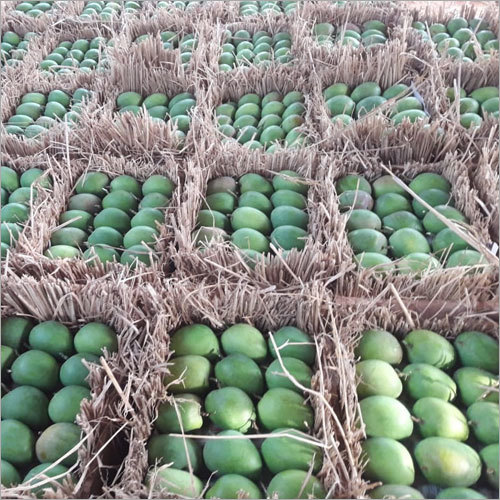 Green Mango