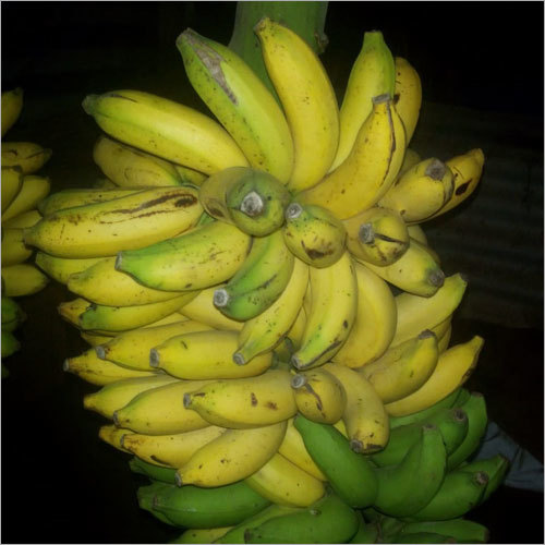 Ripe Banana