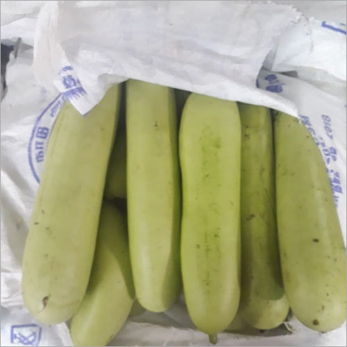 Bottle Gourd