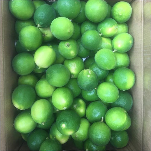 Fresh Lemon