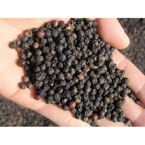 Black Pepper