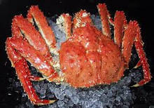 Norwegian Red King Crab