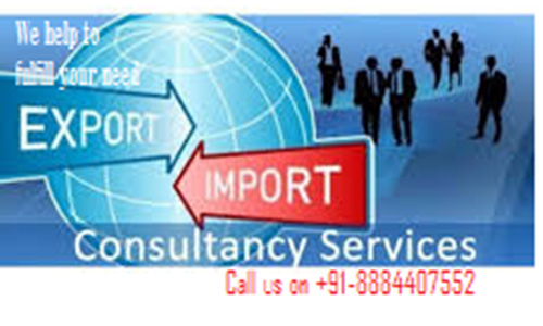 Import and Export Business Consulting Services
