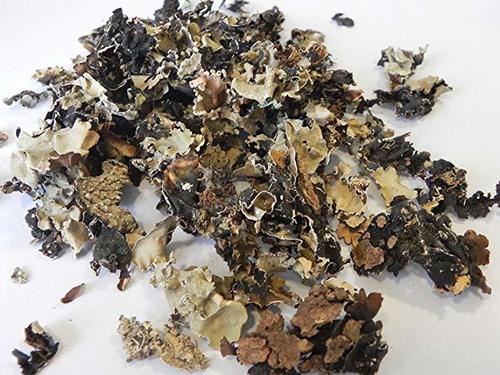 Dagad Phool - 1 Kilogram Raw White Stone Flower, Elongated Shape, Dry Fluffy Texture, Earthy Aroma, 12 Months Shelf Life