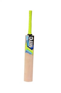 Kashmir Willow Bat