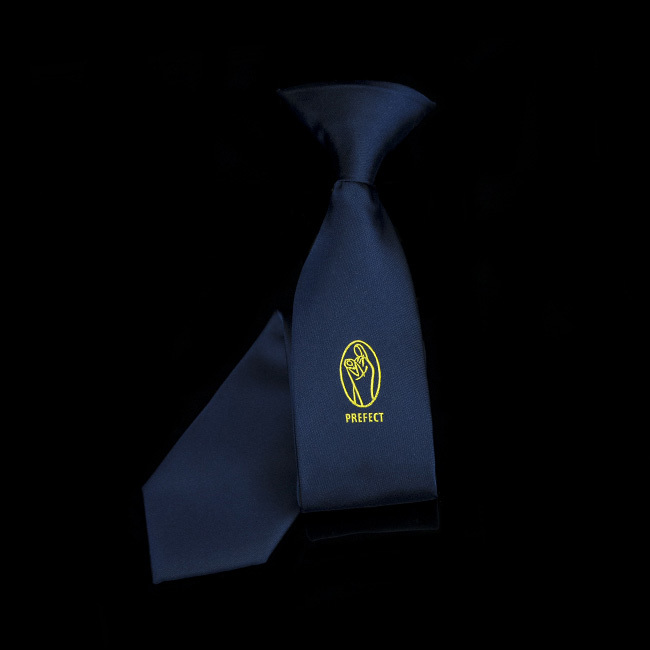 Institutional Ties