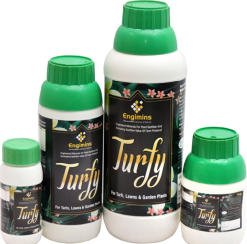Engimins Turfy