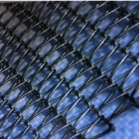 Drive Balanced Weave Wire Mesh Belt